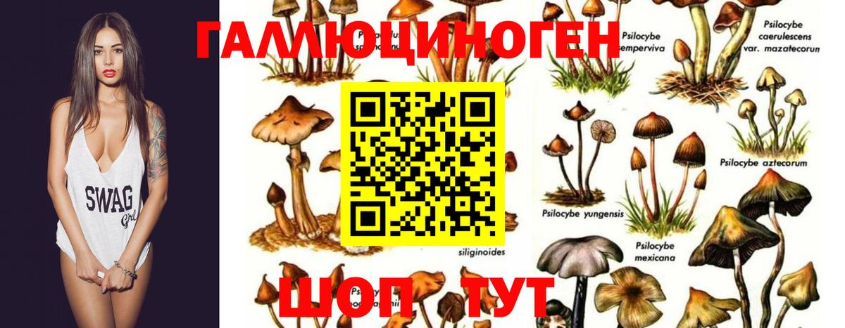 Ярцево  Галлюциногенные грибы мицелий  Вход с VPN  Галлюциногенные грибы мицелий 