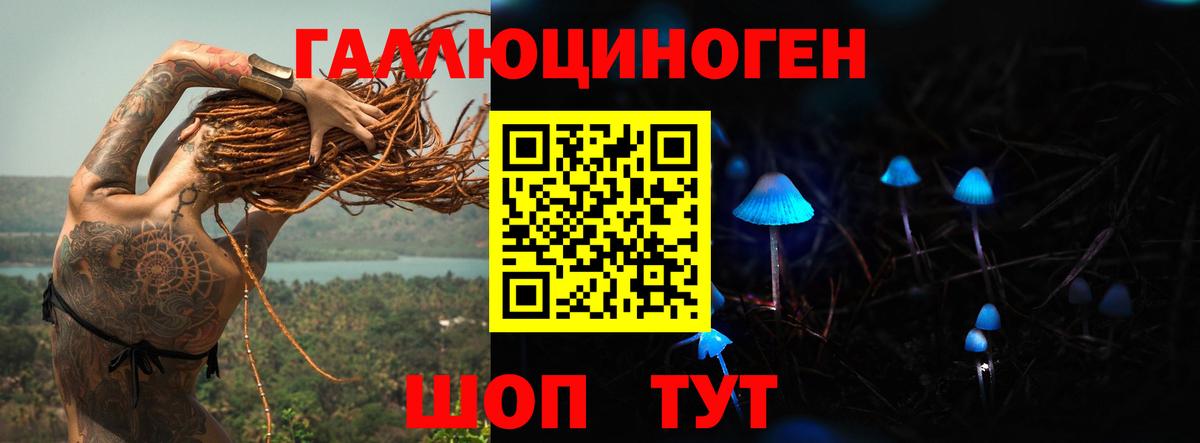 Галлюциногенные грибы Psilocybe Ярцево